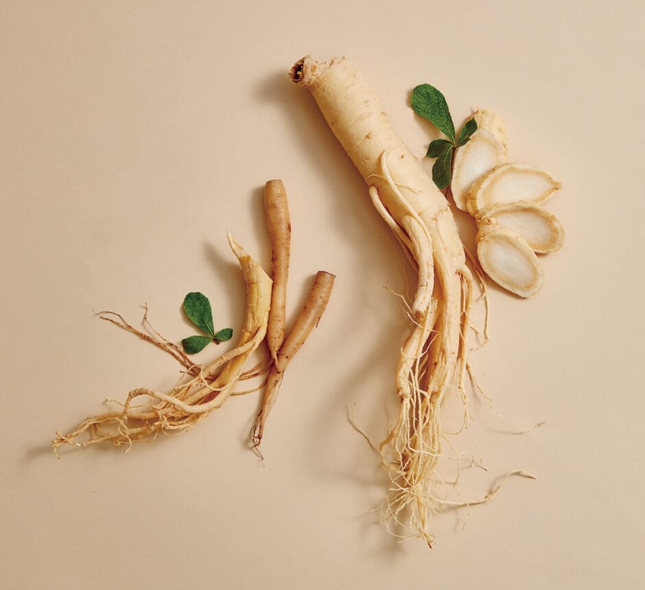 リビルドグロー(300shot)